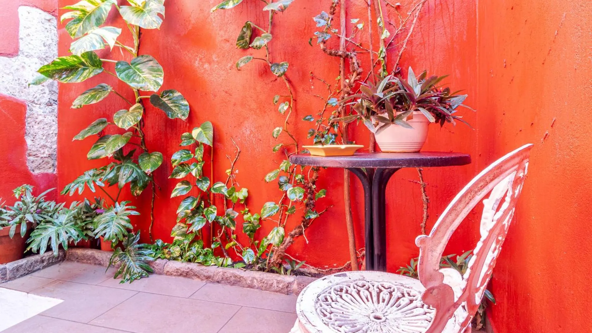 Flatguest Amiga Mia - Traditional House Las Palmas de Gran Canaria 0*,